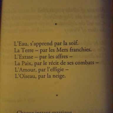 extrait "car l'adieu, c'est la nuit" de Emilie Dickinson