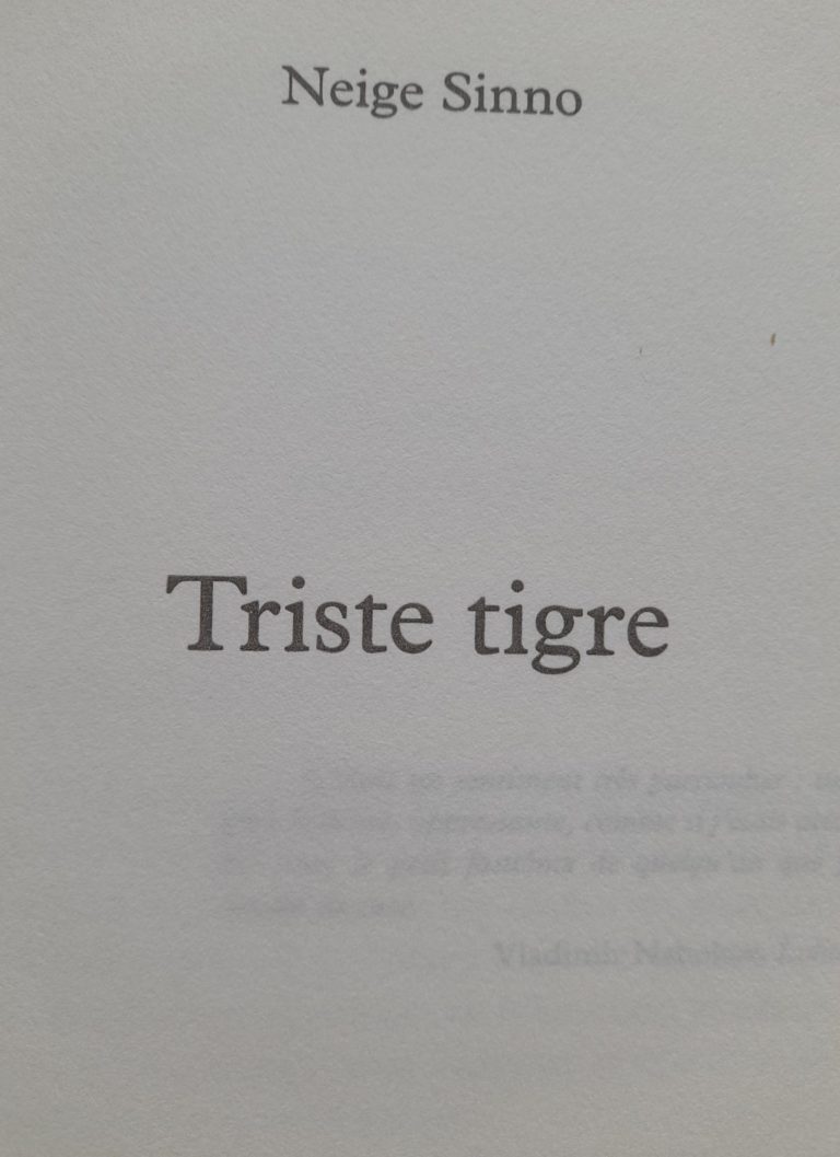 Couverture du roman "triste tigre" de Neige Sinno