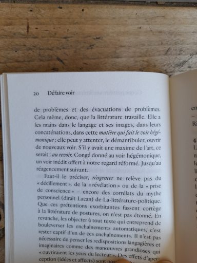 extrait "Défaire voir" Sandra Lucbert