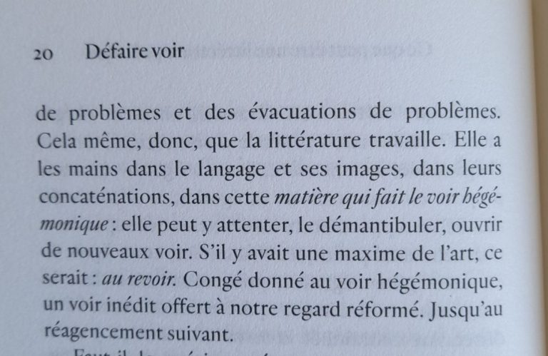 couverture du roman "Défaire voir - littérature et politique" de Sandra Lucbert