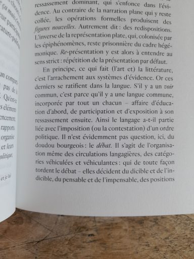 extrait "Défaire voir" Sandra Lucbert