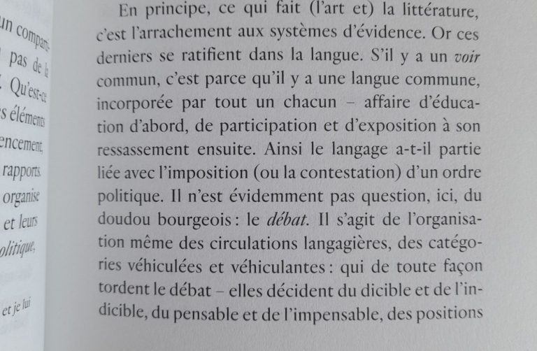 couverture du roman "Défaire voir - littérature et politique" de Sandra Lucbert