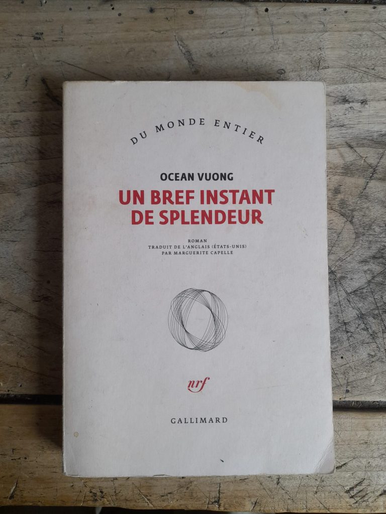 couverture du roman "Un bref instant de splendeur" d'Ocean Vuong