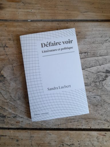"défaire voir" Sarah Lucbert