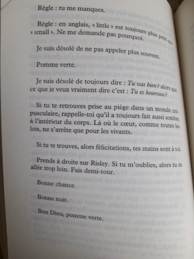 extrait "un bref instant de splendeur" Ocean Vuong