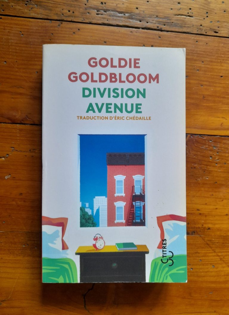 Couverture du roman "Division avenue" deGoldie Goldbloom
